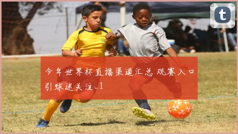 今年世界杯直播渠道汇总 观赛入口引球迷关注_1
