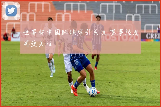 世界杯中国队缺席引关注 赛事格局再受关注_1