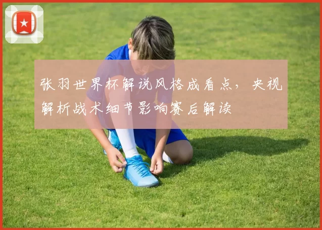 张羽世界杯解说风格成看点，央视解析战术细节影响赛后解读