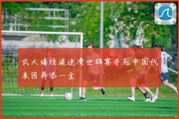 武大靖短道速滑世锦赛夺冠中国代表团再添一金