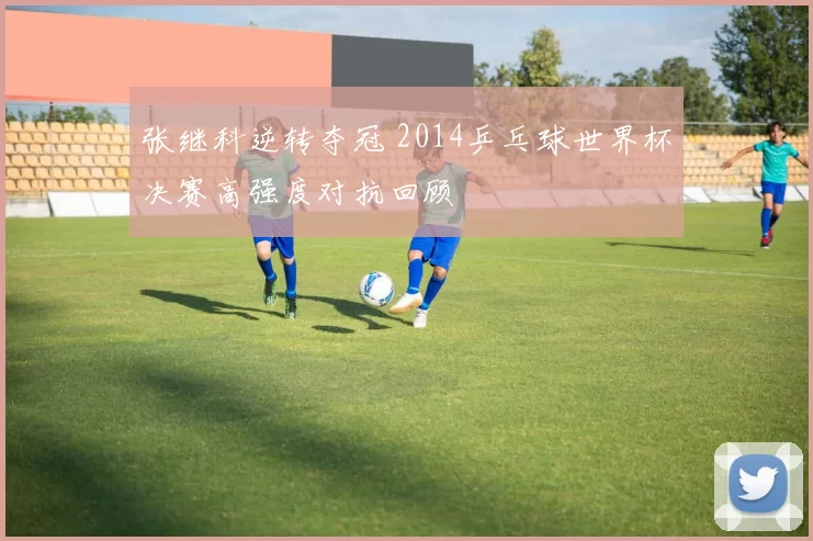 张继科逆转夺冠 2014乒乓球世界杯决赛高强度对抗回顾