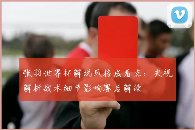 张羽世界杯解说风格成看点，央视解析战术细节影响赛后解读