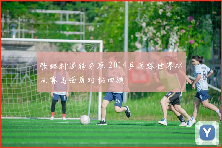 张继科逆转夺冠 2014乒乓球世界杯决赛高强度对抗回顾